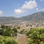 DSC07706