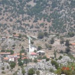 DSC07709