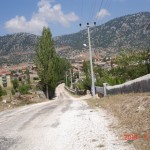 DSC07710
