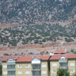 DSC07716