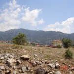 DSC07728