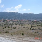 DSC07731