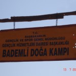 DSC07866