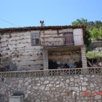 DSC08373