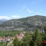 DSC08376