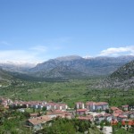 DSC08377