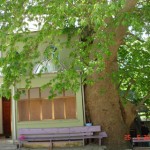DSC08456