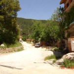 DSC08458