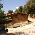 DSC08459