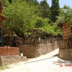 DSC08465