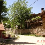 DSC08466