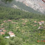 DSC08662