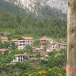 DSC08665