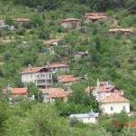DSC08666