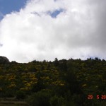 DSC08675