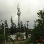 DSC08681