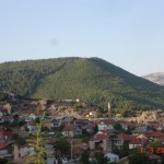 DSC09106
