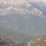 DSC09108