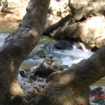 DSC09214