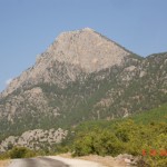 DSC09224