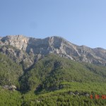 DSC09226