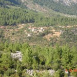 DSC09229