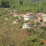 DSC09231