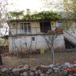 DSC09232