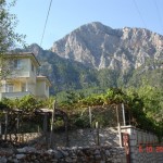 DSC09233