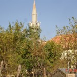 DSC09237