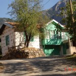 DSC09245
