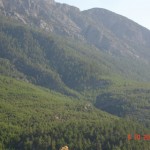 DSC09250