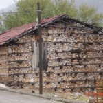 DSC09302