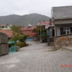 DSC09303