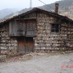 DSC09306