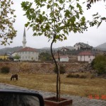 DSC09311