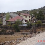 DSC09355