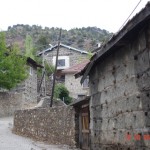 DSC09361