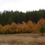 DSC09383