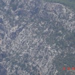 DSC09401