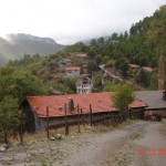 DSC09424