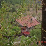 DSC09426