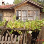DSC09427