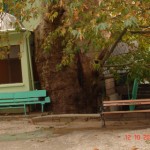 DSC09429