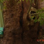 DSC09433
