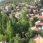 Degirmenlik Koyu(116)