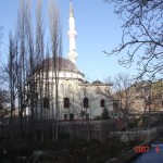 Degirmenlik Koyu(75)