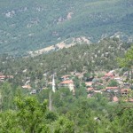 Degirmenlik Koyu(89)