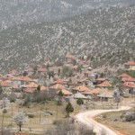IMG_0596