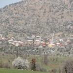 IMG_0599
